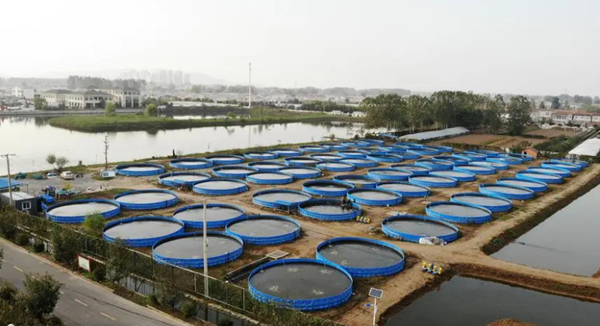 微信圖片_20230829165312 微信圖片_20230829165312