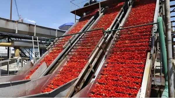 雷達(dá)液位計(jì)：提升番茄加工智能化水平的關(guān)鍵技術(shù)